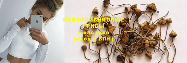 PSILOCYBIN Алексин