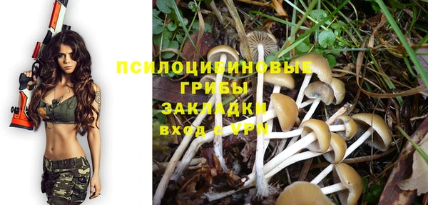 гашик Баксан